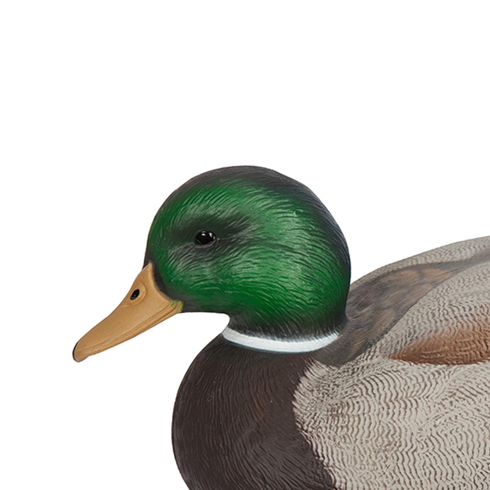 Realistic Floating Drake Decoy - Fishing 评论和价格