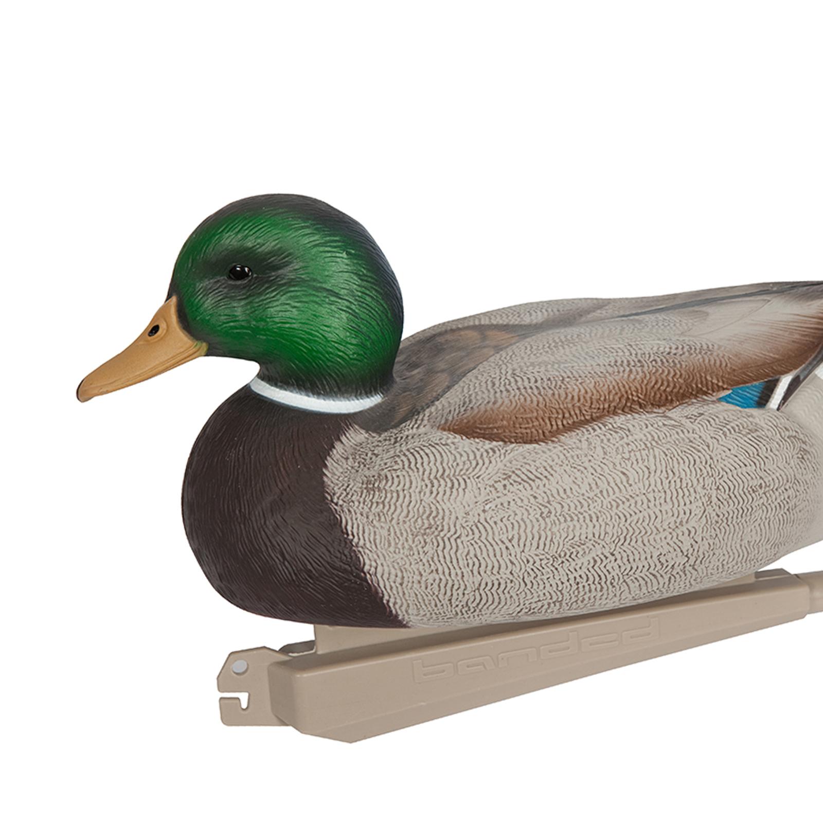 Realistic Floating Drake Decoy - Fishing 评论和价格