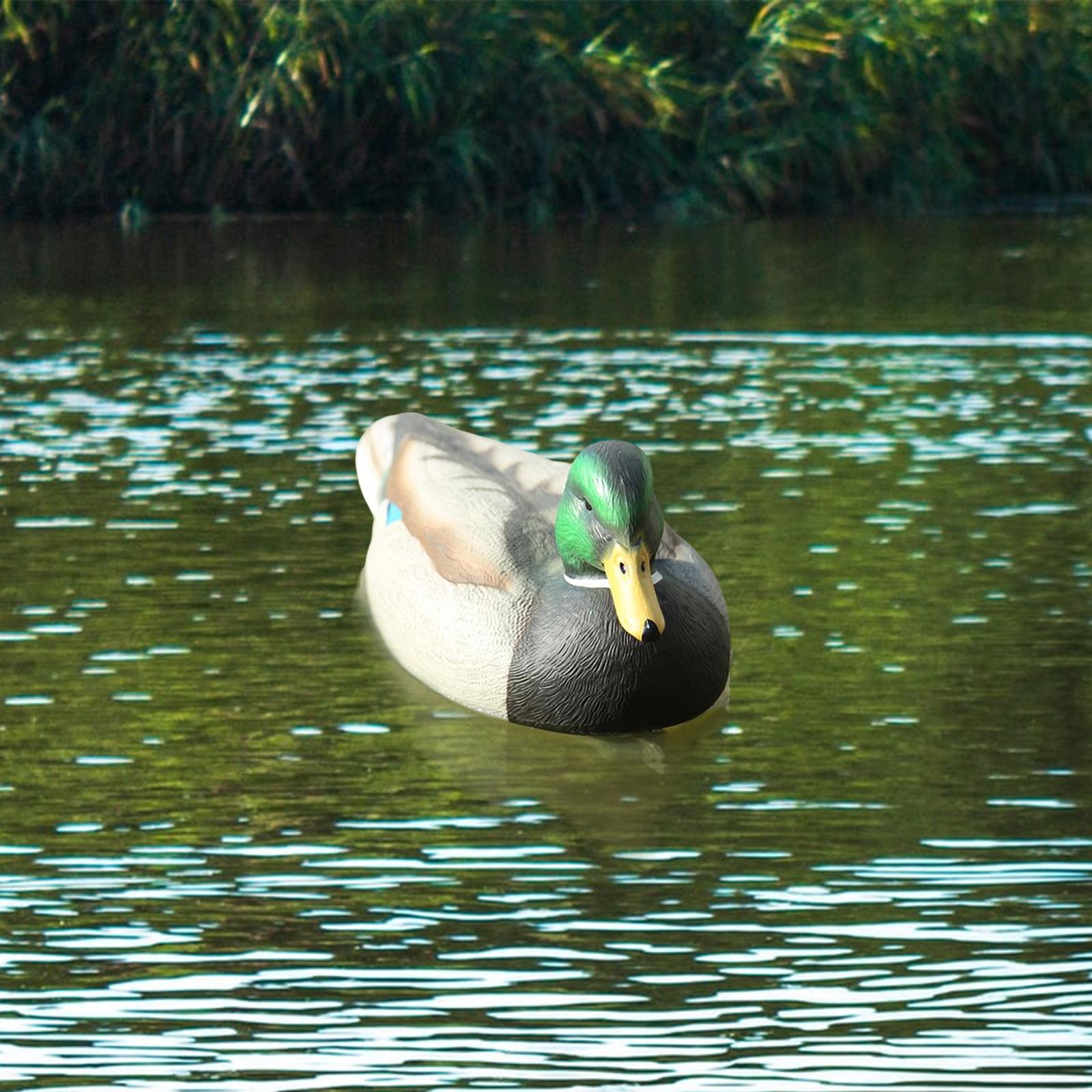 Realistic Floating Drake Decoy - Fishing 评论和价格