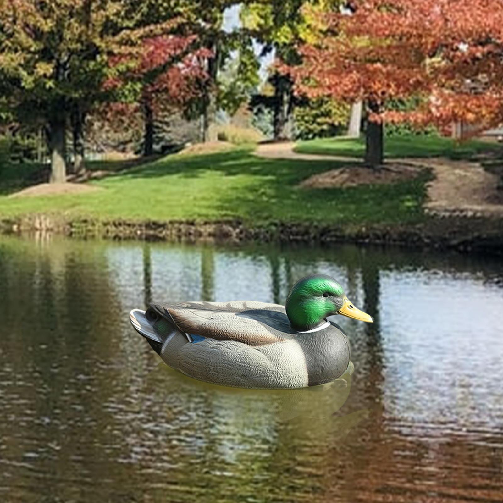 Realistic Floating Drake Decoy - Fishing 评论和价格